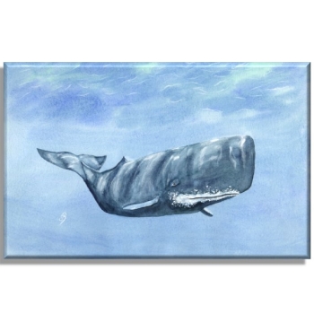 Leinwand 40 x 30 cm Keilrahmen Canvas-Leinen  Aquarell Maritim Kunst Druck Kunstdruck Dänemark Nordsee Ostsee Wal Pottwal Schweinswale Schweinswal